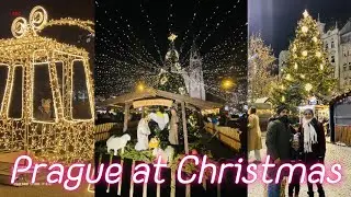 Christmas comes to Prague | Czech Republic 🇨🇿 Festive lights and Christmas markets 2024🎄