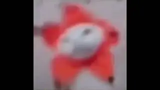 flower cat dancing to sunshine lollipops and rainbows full song