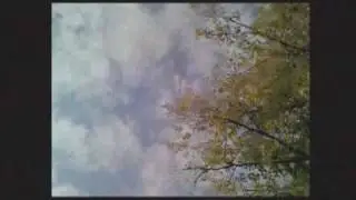 Voltaj - Dematurizarea (WSTV)