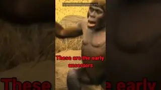 homo luzonensis the early ancestors of tagalog #comedyshorts #funnyvideos #philippines #pinas2025