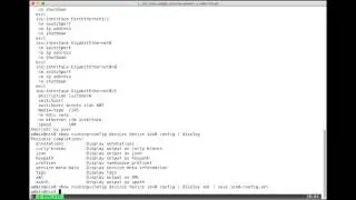 Understand how to use Cisco NSO to build a service for a specific configuration