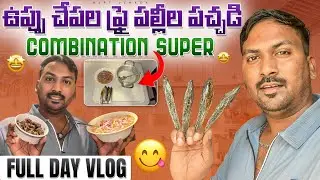 saudi సముద్రపు ఉప్పు చేపలు ఫ్రై పచ్చడి చేశా Vlog || రాయలసీమ పచ్చడి స్పెషల్ ||@RJPT_VENKEY #saudirjpt