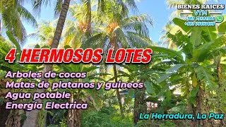 #109 ⛔️ VENDIDOS 4 LOTES en La Herradura! 920 m² con Cocos, Plátanos y Pozo Artesanal  Solo $16,000