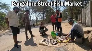 Street Fish Market 😲 | রাস্তায় তাজা মাছের কেনাবেচা | Real Life 