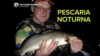 MUITA A&Ccedil;&Atilde;O DE JUNDI&Aacute; NA PESCARIA NOTURNA #fishing #acampamentoraiz #pescaria 