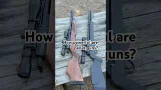 Testing high pressure air rifle power #outdoors #hunting