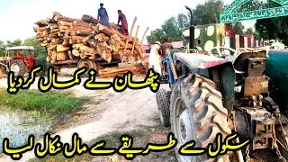 Tree Woods Cutter and Loading | Petrol Chain Cutter| Tree Chain Cutter | Cutting Down Tree| پٹھان