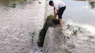 Remove Grass Clogged Drain On Dam