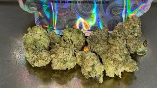 Florida Kush Strain Review