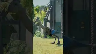 Smilodon vs Angry Bird. #dinosaur #dinofight #smilodon #jurassicworldevolution2 #angrybirds