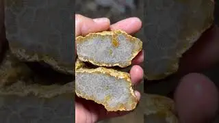 Bahan batu akik teratai , ( fossilcoral) #gemstone #batumewah #stone #cincin #batucincin #shorts