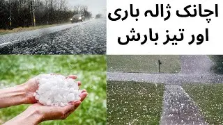 HAILING STORM | HEAVY RAIN | SUMMER RAIN | SPRING SEASON  | DAILY ROUTINES | HUMAYUN BASHIR OFFICIAL