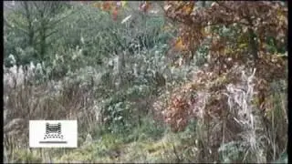 Gilford Castle Shoot (Showreel)