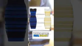 Почему мы видим это платье по-другому?! 🤯