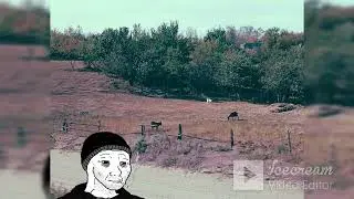 Александр Башлачёв - Имя имен (Doomer Wave | Slowed + reverb | Russian Doomer Music) 