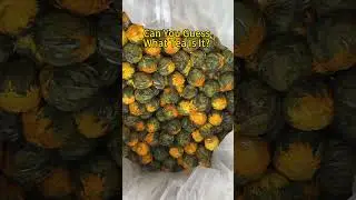 You Won&rsquo;t Believe This Tea Blooms in Hot Water!
