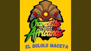 El Bololo Maceta