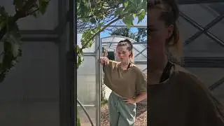 Why we're so disconnected 🌳