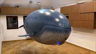 RC Blimp as Blue whale