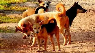Love sweet life best time many many style they try to hugs young mom love sweet life