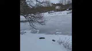 #freeze #ice #water #snow #snowfall #winter