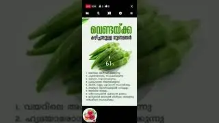 Easy Curry Vlog🤲🏼 is live💥 ലൈക്ക് 💥കമന്റ് ✨