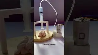 Hydraulic piston power#physics #experiment #youtubeshorts #power