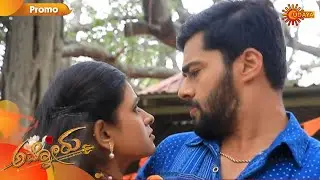 Ammanoru - Promo | 28th January 2020 | Udaya TV Serial | Kannada Serial