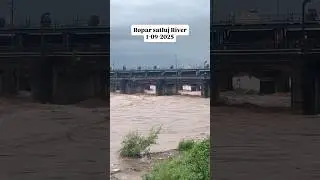 Flood in Ropar Punjab⛈️#dailyvlog #redalert#ropar #rupnagar #floodzone #viralvideos #itslakshyavlogs