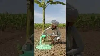 A Banana Tree Turns into a Disaster! A Story From Riches to Ruin #trending #ai #short #video