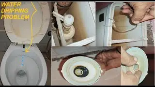 Dripping Problem in Toilet; Repair Syphon for Flush Tank; Installing syphon in flush tank