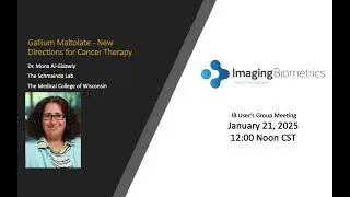 IB User's Group Webinar   GaM   New Directions Short