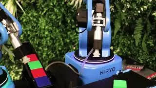 NED2, six-axis desktop robot arm