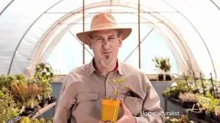 Kangan Institute: Skills Recognition commercial
