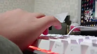 앱코 K945p V2 타건 (abko k945p v2 sound test)