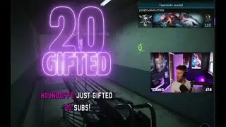 I Gave 20 SUBS to a RANDOM Twitch Streamer!