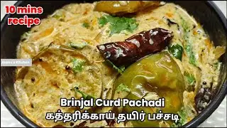 Brinjal Curd Pachadi/ 10 Minutes Recipe/ Simple Katharikai Thair Pachadi/ #jaanu's kitchen