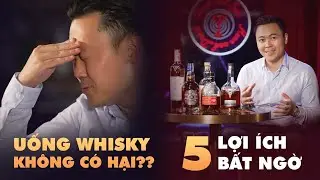 Uống Whisky chỉ c&oacute; hại?? Top 5 LỢI &Iacute;CH lớn nhất của Whisky