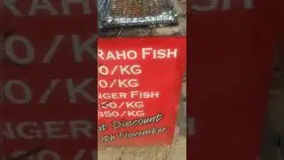 Delicious Grill Rahu fish || Asli kala rahu
