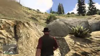 Close call