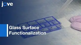 Glass Surface Functionalization for Targeted Cell Isoltion | Protocol Preview