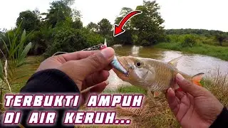 Review Minnow Murah Di Shopee Cuma 8000 an | KILLER UNTUK HAMPALA