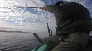 Solo Skiff Fishing California Yellowtail February 2020