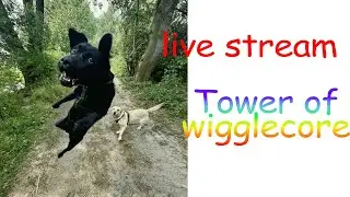 [LEARNING] Tower of Wigglecore PB: 2 //  Stream #1
