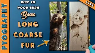 Mastering Wood Burning: Creating Realistic Grizzly Bear Fur With Long, Coarse Texture
