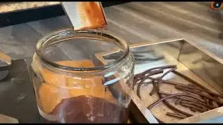 Cocoa Butter & Pellet Extraction with Screw Press in Action | Vulcanotec