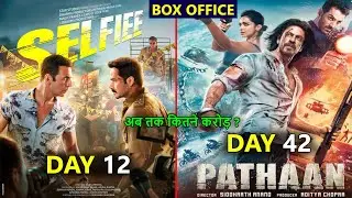Selfiee Box Office Collection Day 12, Pathaan Box Office Collection Day 42, Worldwide Collection