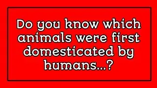Which Animals were first domesticated by Humans?