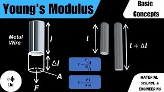 Young's Modulus Of Elasticity | Basic Concepts