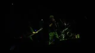 Quadra Rock - Penguins And Polar Bears (Cover)